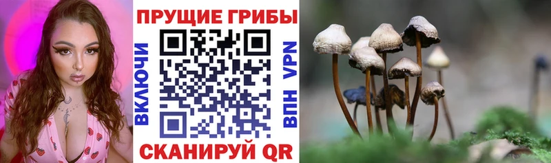 наркотики  Чусовой  Галлюциногенные грибы Magic Shrooms 